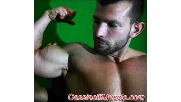 Cassinellimuscle.